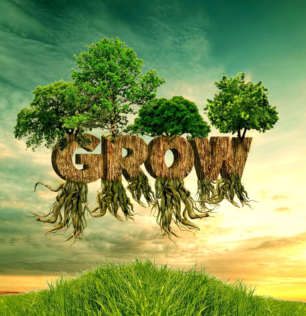 nature, grass, tree, summer, landscape, environment, wood, sky, grow, plant, green, grassland, spring, life, roots, dry, growth, fruitful, branch, work, spiritual growth, word, courage, innovation, fantasy, grow, roots, growth, growth, growth, spiritual growth, spiritual growth, spiritual growth, spiritual growth, spiritual growth, courage, courage, courage, courage, courage, innovation, innovation, innovation, innovation